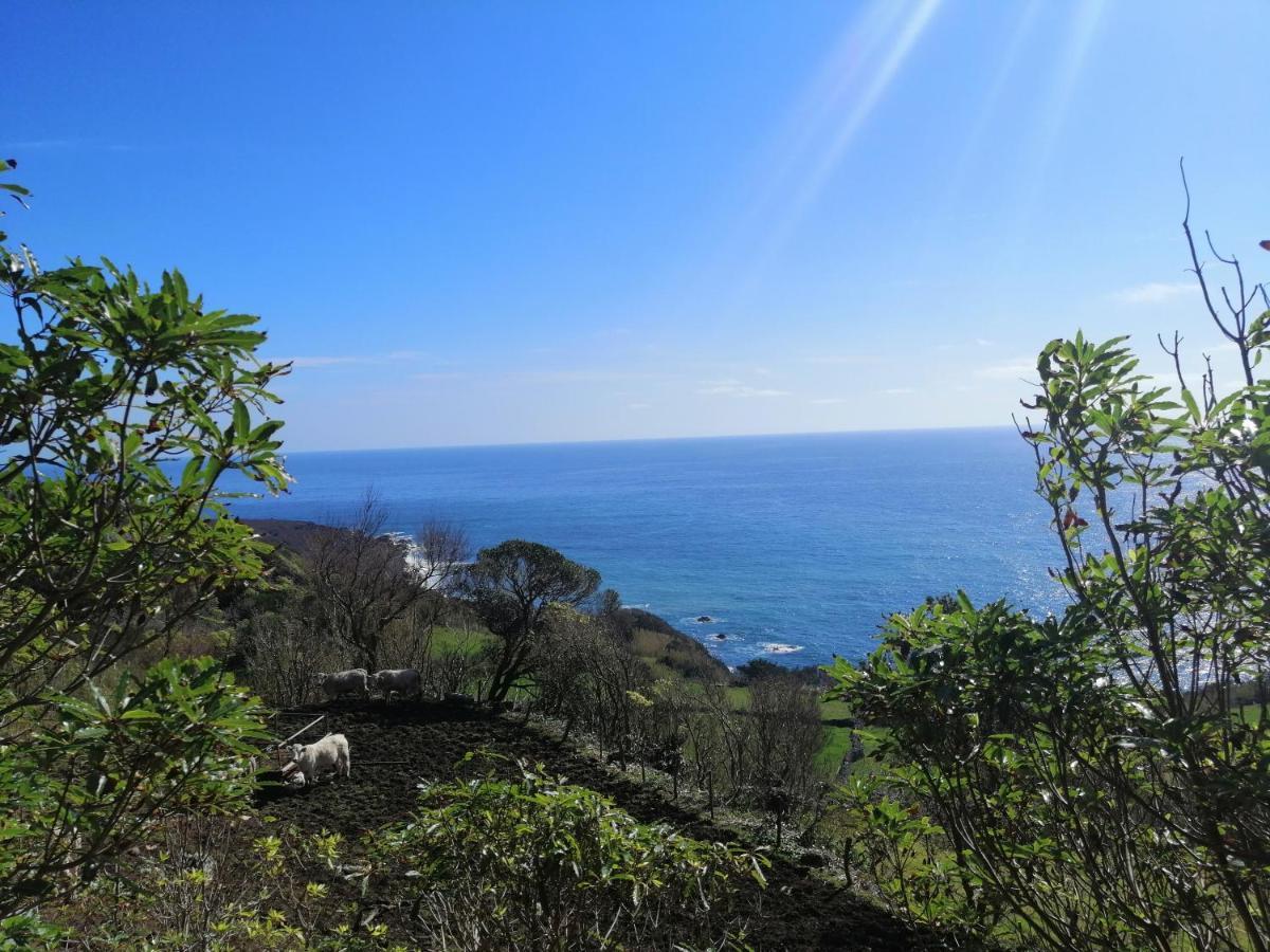 Вилла A Casa Do Ti Mendonca Lajes das Flores Экстерьер фото